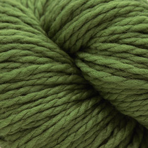Cascade Yarns 128 Superwash Moss 841