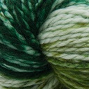 Cascade Yarns 128 Superwash Hand Paints Glade 708