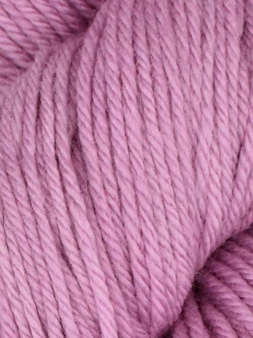 Queensland Collection Falkland Worsted Thistle 29