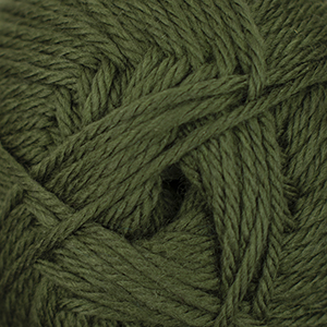 Cascade Yarns Pacific Worsted Cedar Green 156