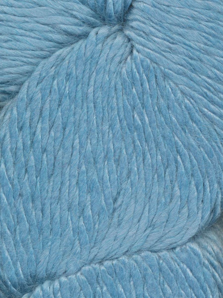 Ella Rae Cozy Alpaca Chunky Sargasso 537