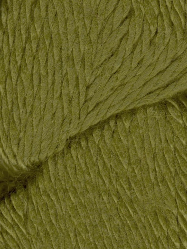 Ella Rae Cozy Alpaca Chunky Mantis 548 (discontinued)