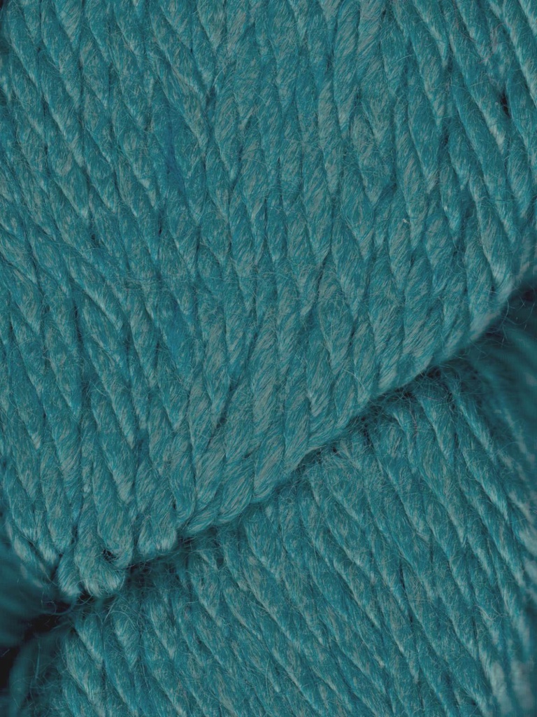 Ella Rae Cozy Alpaca Chunky Coastal 549 (discontinued)