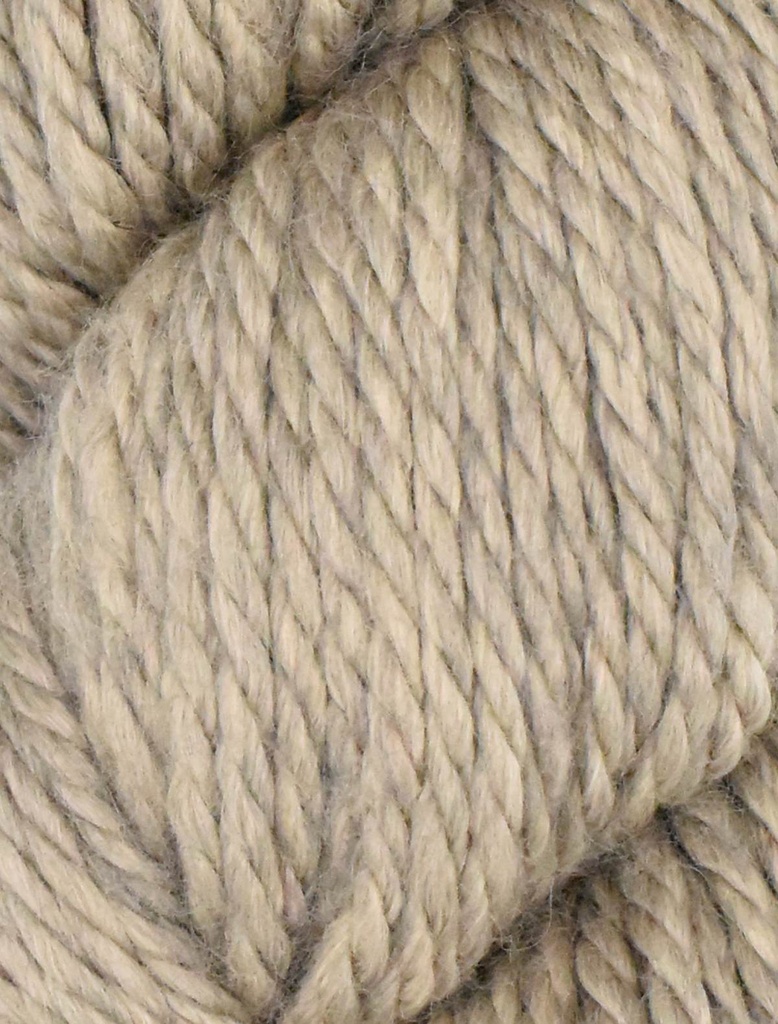 Ella Rae Cozy Alpaca Chunky Driftwood 561