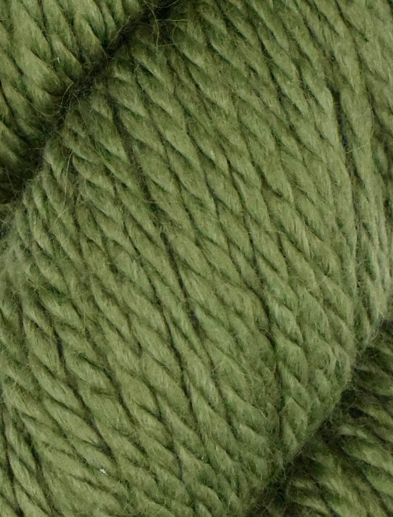 Ella Rae Cozy Alpaca Chunky Moss 563