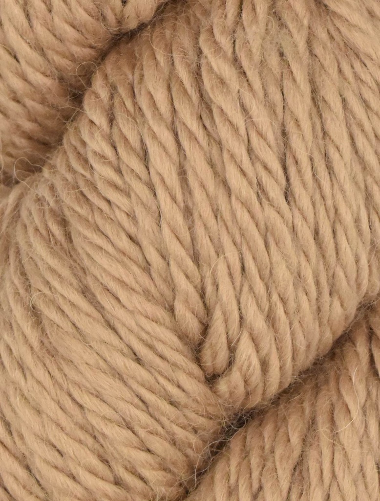 Ella Rae Cozy Alpaca Chunky Caramel 574