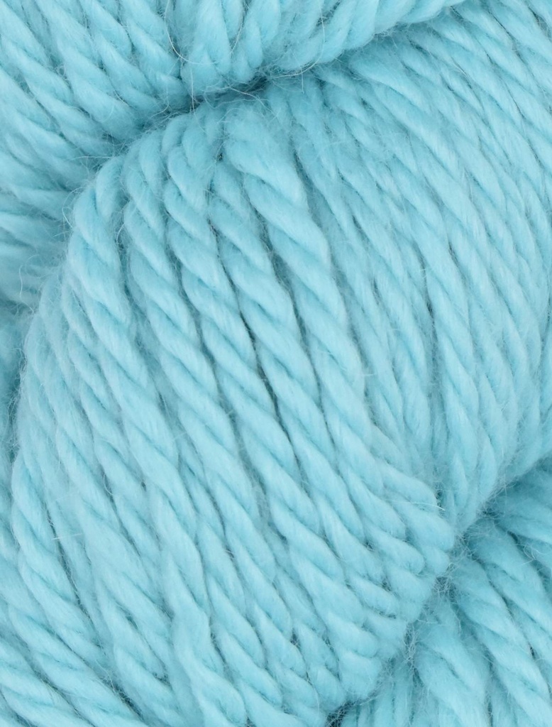 Ella Rae Cozy Alpaca Chunky Calypso 577
