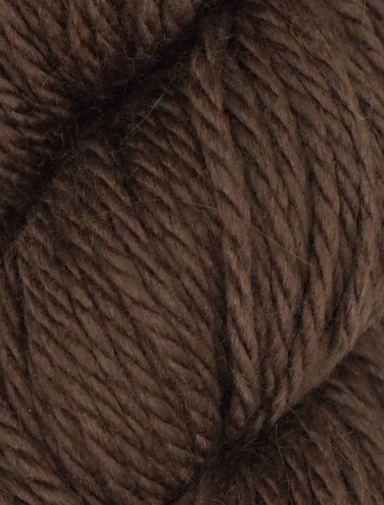 Ella Rae Cozy Alpaca Chunky Mahogany 578