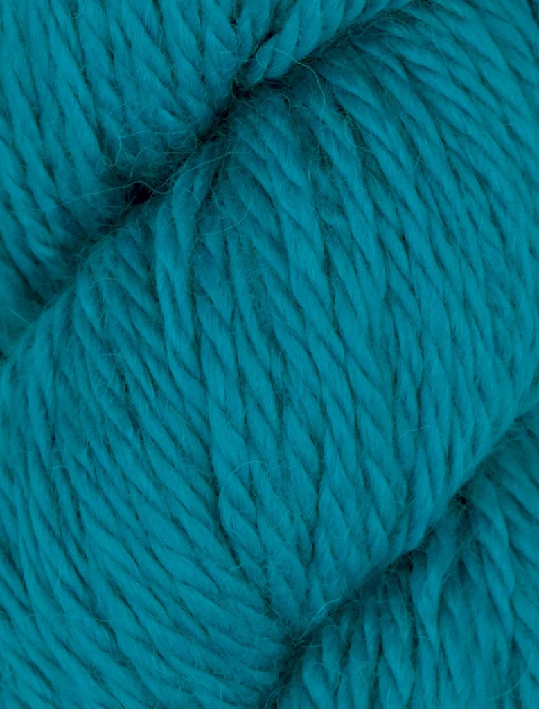 Ella Rae Cozy Alpaca Chunky Turquoise 580