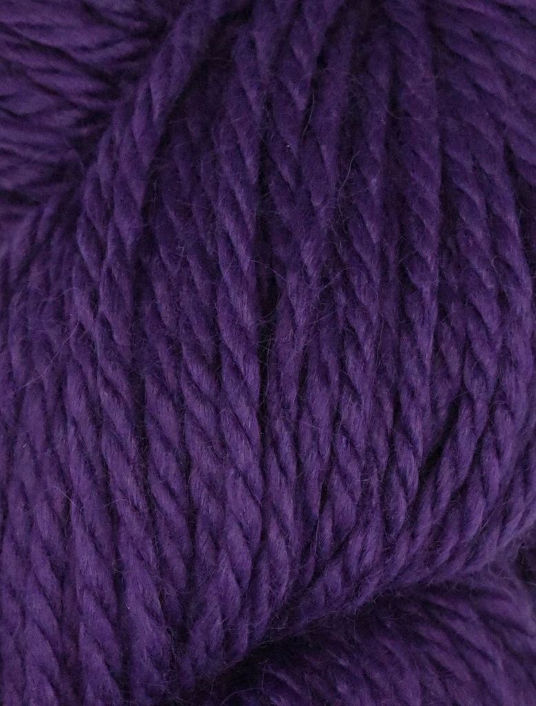 Ella Rae Cozy Alpaca Chunky Imperial 583