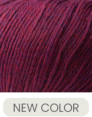 Cascade Yarns 220 Superwash Spinel Heather 414