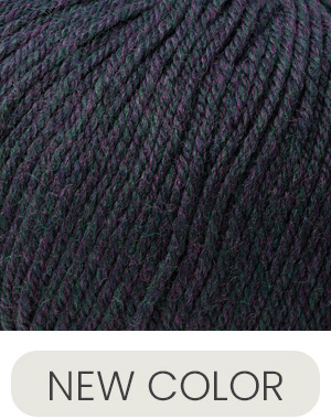 Cascade Yarns 220 Superwash Borealis Heather 417