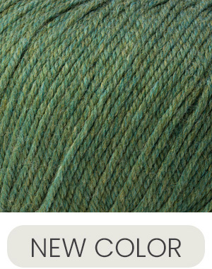 Cascade Yarns 220 Superwash Meadow Heather 419