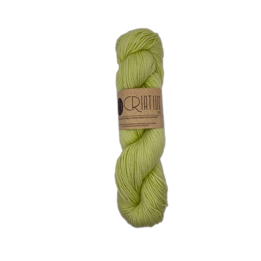 [CRI 0013] Criative DK Mint Mantis 13