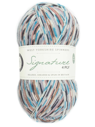 [SIG 1167] West Yorkshire Spinners Signature 4 Ply Country Birds Collection Jay 1167