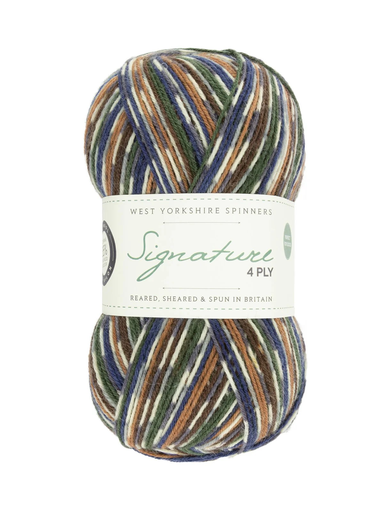 [SIG 0862] West Yorkshire Spinners Signature 4 Ply Country Birds Collection Mallard 862 