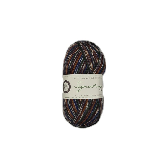[SIG 0862] West Yorkshire Spinners Signature 4 Ply Mallard 862