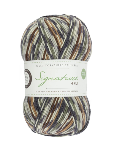 [SIG 0877] West Yorkshire Spinners Signature 4 Ply Country Birds Collection Owl 877