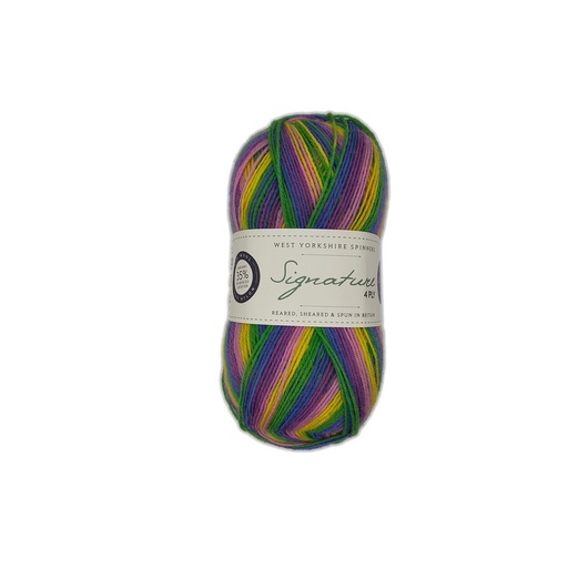 [SIG 0872] West Yorkshire Spinners Signature 4 Ply Wildflower 872