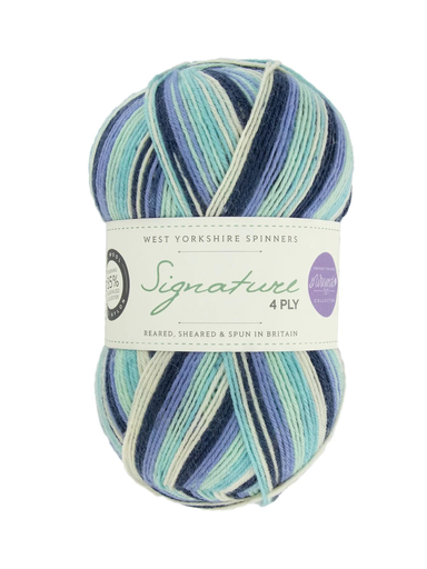 [SIG 0878] West Yorkshire Spinners Signature 4 Ply Winwick Mum Collection Winter Icicle 878