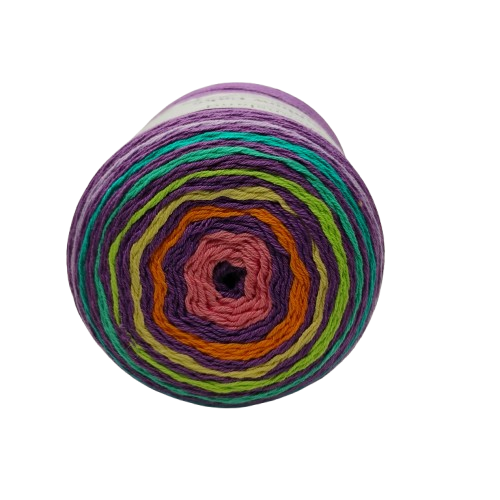 [RAI C0206] Queensland Collection Rainbow Cake Paisley 206