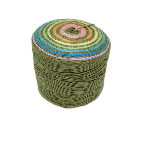 [RAI C0204] Queensland Collection Rainbow Cake Rainforest 204