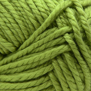 [PAC B0188] Cascade Yarns Pacific Bulky Fern 188