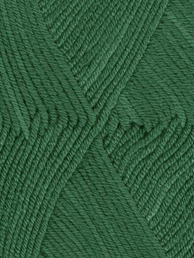 [CASH 0046] Ella Rae Cashmereno Sport Evergreen 46