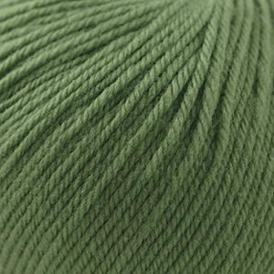 [220SW 0350] Cascade Yarns 220 Superwash Seagrass 350