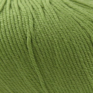 [220SW 0841] Cascade Yarns 220 Superwash Moss 841