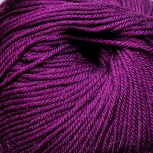 [220SW 0882] Cascade Yarns 220 Superwash Plum Crazy 882