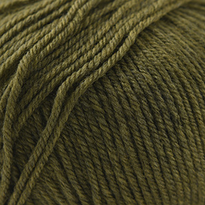 [220SW 1919] Cascade Yarns 220 Superwash Turtle 1919