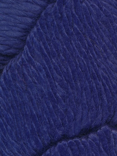 [COZ CH0534] Ella Rae Cozy Alpaca Chunky Lupine 534 (discontinued)