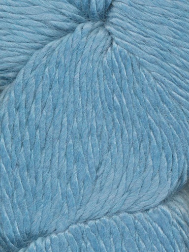 [COZ CH0537] Ella Rae Cozy Alpaca Chunky Sargasso 537
