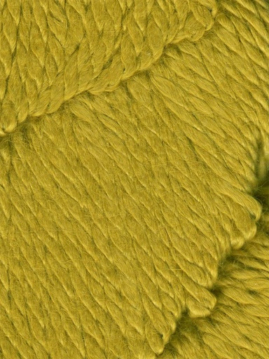 [COZ CH0542] Ella Rae Cozy Alpaca Chunky Goldenrod 542