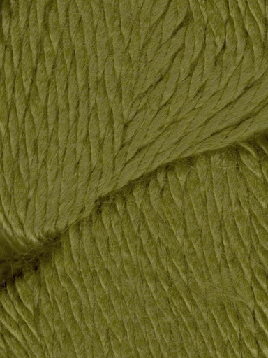 [COZ CH0548] Ella Rae Cozy Alpaca Chunky Mantis 548 (discontinued)