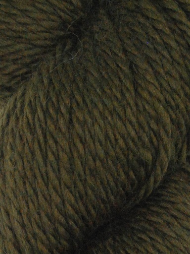 [COZ CH0554] Ella Rae Cozy Alpaca Chunky Basil 554
