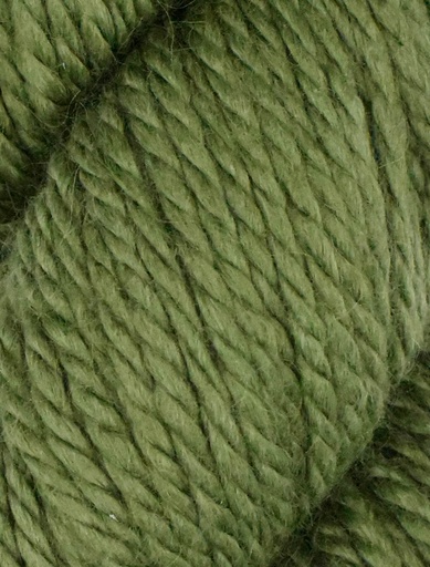 [COZ CH0563] Ella Rae Cozy Alpaca Chunky Moss 563