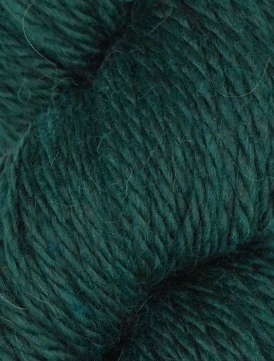 [COZ CH0567] Ella Rae Cozy Alpaca Chunky Evergreen 567