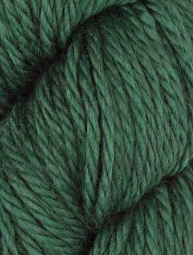 [COZ CH0579] Ella Rae Cozy Alpaca Chunky Spruce 579