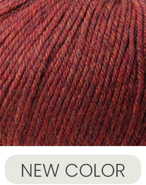 [220SW 0413] Cascade Yarns 220 Superwash Burnt Ochre Heather 413