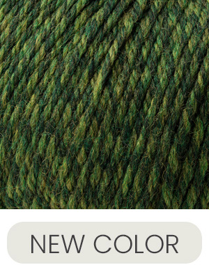 [220SW 0420] Cascade Yarns 220 Superwash Shire Marl 420